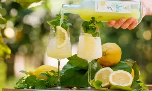 Limoncello wie trinken? Ein erfrischender Drink mit Zitrone und Minze wird in Gläser gegossen.