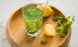Erfrischender Minztee mit Zitrone, perfekt zum Tee selber machen. Ein Glas mit frischer Minze und Zitronenscheiben auf einem Holztablett.
