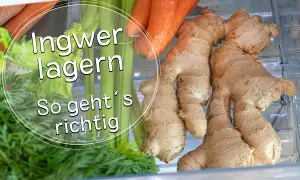 Ingwer, Karotten und Sellerie im Kühlschrank. So lagert man Ingwer richtig, damit man ihn für Tees, Currys oder Smoothies verwenden kann.