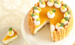 Ein köstlicher Mango Cheesecake ohne Backen, verziert mit Sahnetupfern, Mangostückchen und Minze. Ein Stück ist bereits auf einem Teller.