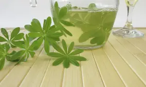 Frische Waldmeisterblätter schwimmen in einer Karaffe mit einer hellgelben Flüssigkeit, bereit für eine erfrischende Mai bowle.