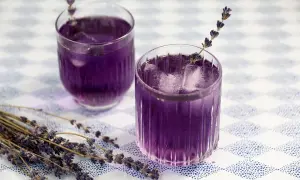 Zwei Gläser mit lila Lavendel Spritz, Eiswürfeln und Lavendelzweigen auf kariertem Tisch.