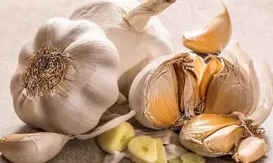 Mehrere Knoblauchzehen und ganze Knoblauchköpfe liegen auf einer grauen Oberfläche. Die Frage, wie lange ist Knoblauch haltbar, wird hier visuell beantwortet.