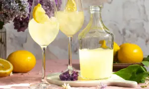 Zwei Gläser mit Eis und Zitronenscheiben, daneben eine Flasche und frische Zitronen. Perfekt zum Limoncello mischen für einen erfrischenden Genuss.