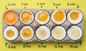 Reihe von Eiern in einem Karton, die verschiedene Kochzeiten zeigen, von flüssigem Eigelb bis zum hartgekochten Ei. Perfekte Eier kochen leicht gemacht!