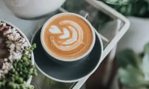 Ein perfekt zubereiteter Cappuccino mit Latte Art, der Lust macht, ihn selber zu machen. Daneben grüne Pflanzen.