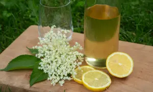Zutaten für hollersirup selber machen: Holunderblüten, Zitronenscheiben und ein Glas mit selbstgemachtem Sirup.