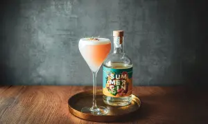 Ein erfrischender Gin-Cocktail mit cremigem Schaum und einer Flasche "Summer Gin" daneben. Perfekt für warme Tage.