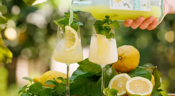 Limoncello wie trinken? Ein erfrischender Drink mit Zitrone und Minze wird in Gläser gegossen.