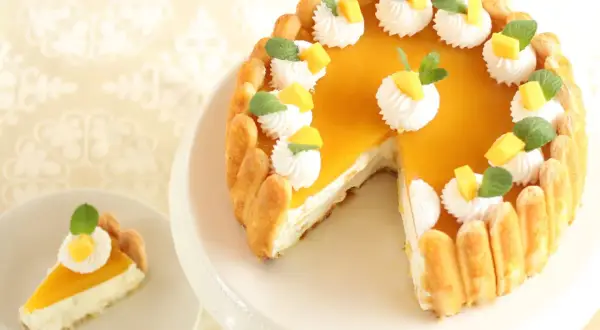Ein köstlicher Mango Cheesecake ohne Backen, verziert mit Sahnetupfern, Mangostückchen und Minze. Ein Stück ist bereits auf einem Teller.