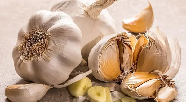 Mehrere Knoblauchzehen und ganze Knoblauchköpfe liegen auf einer grauen Oberfläche. Die Frage, wie lange ist Knoblauch haltbar, wird hier visuell beantwortet.