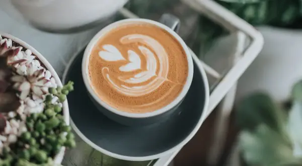 Ein perfekt zubereiteter Cappuccino mit Latte Art, der Lust macht, ihn selber zu machen. Daneben grüne Pflanzen.