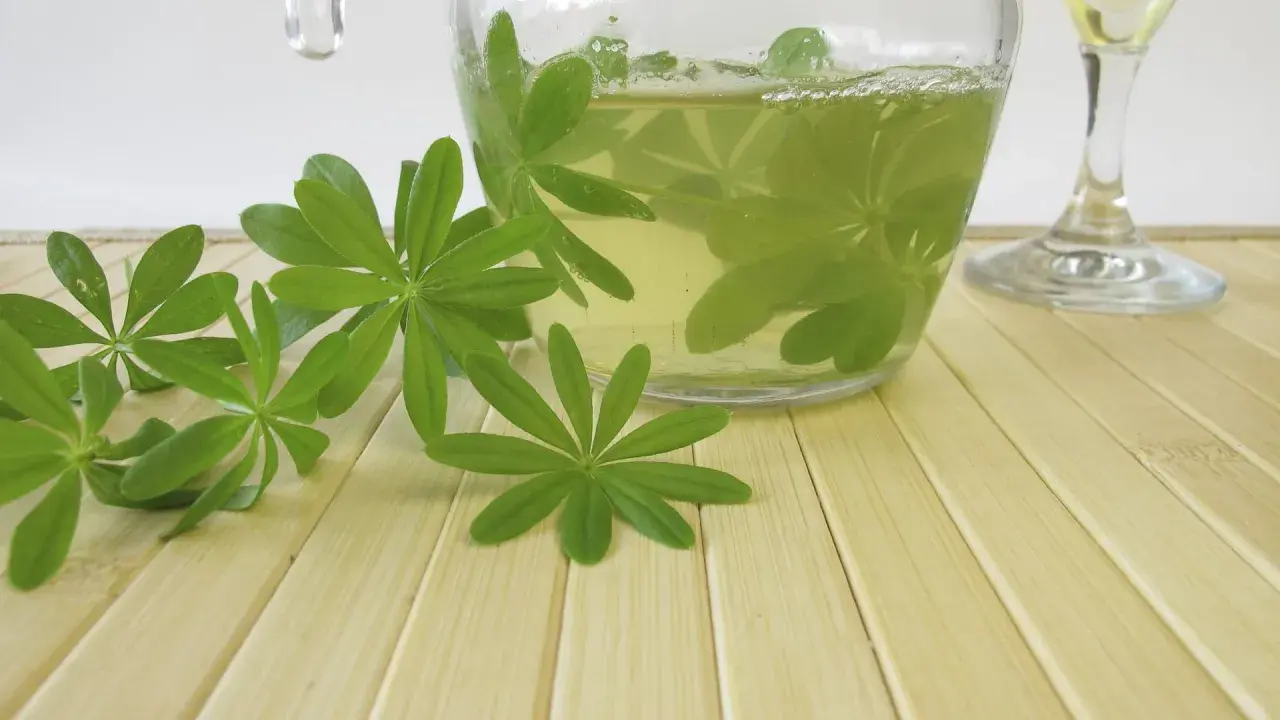 Frische Waldmeisterblätter schwimmen in einer Karaffe mit einer hellgelben Flüssigkeit, bereit für eine erfrischende Mai bowle.