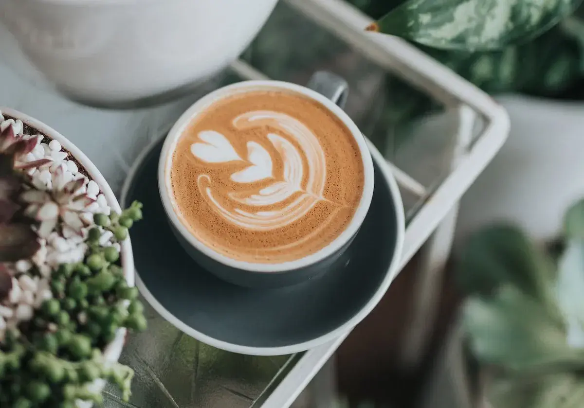 Ein perfekt zubereiteter Cappuccino mit Latte Art, der Lust macht, ihn selber zu machen. Daneben grüne Pflanzen.