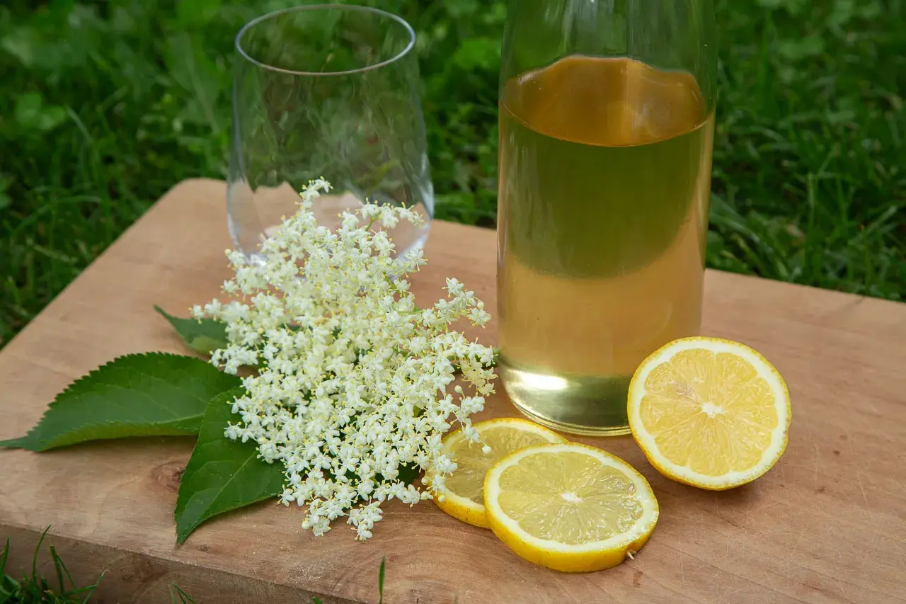 Zutaten für hollersirup selber machen: Holunderblüten, Zitronenscheiben und ein Glas mit selbstgemachtem Sirup.