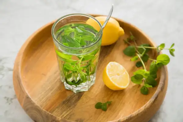 Erfrischender Minztee mit Zitrone, perfekt zum Tee selber machen. Ein Glas mit frischer Minze und Zitronenscheiben auf einem Holztablett.