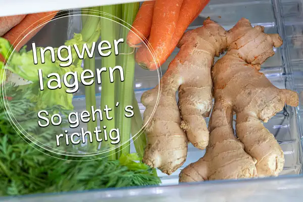 Ingwer, Karotten und Sellerie im Kühlschrank. So lagert man Ingwer richtig, damit man ihn für Tees, Currys oder Smoothies verwenden kann.