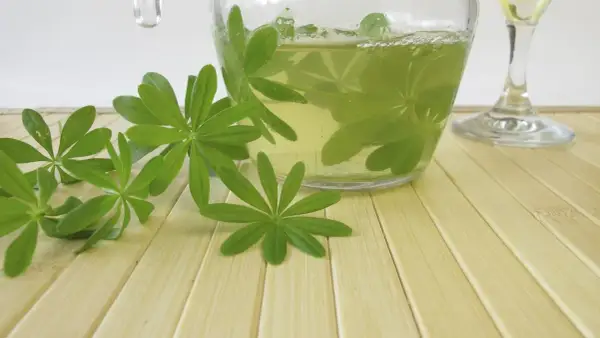 Frische Waldmeisterblätter schwimmen in einer Karaffe mit einer hellgelben Flüssigkeit, bereit für eine erfrischende Mai bowle.