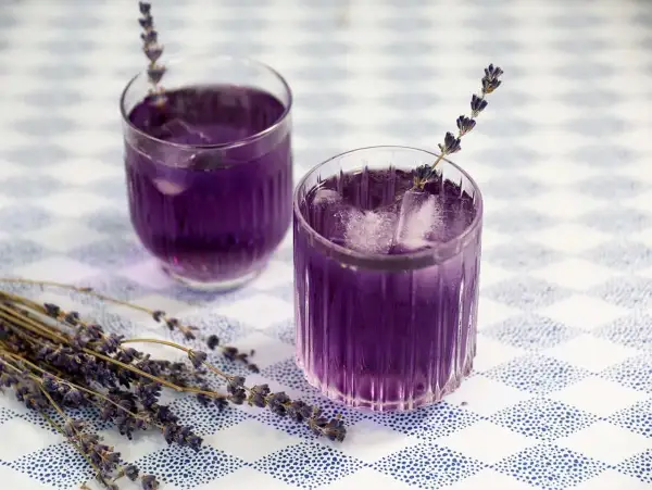 Zwei Gläser mit lila Lavendel Spritz, Eiswürfeln und Lavendelzweigen auf kariertem Tisch.