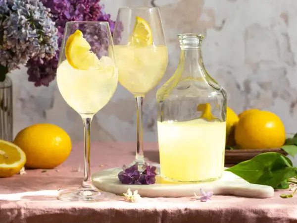 Zwei Gläser mit Eis und Zitronenscheiben, daneben eine Flasche und frische Zitronen. Perfekt zum Limoncello mischen für einen erfrischenden Genuss.